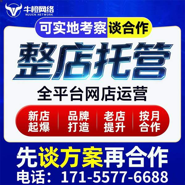 漳州电商代运营