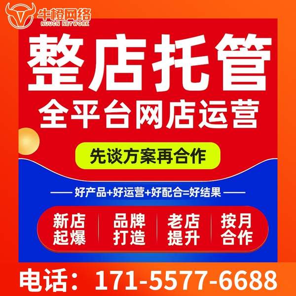 漳州电商代运营