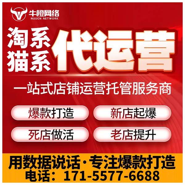 漳州电商代运营